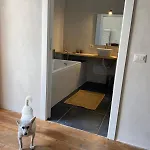 Spacious Studio, View And Bath Sorradile