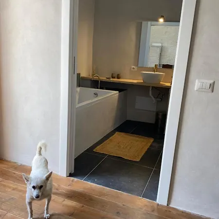 Spacious Studio, View And Bath Sorradile